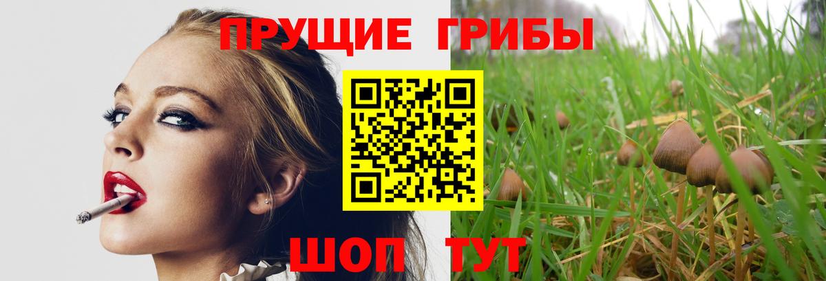 Галлюциногенные грибы Magic Shrooms  Вход с VPN  Псилоцибиновые грибы Magic Shrooms  Шарыпово 